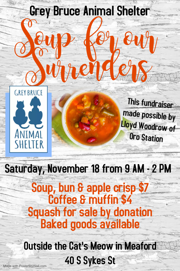 Event image Soup for our Surrenders - Grey Bruce Animal Shelter